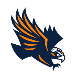 ut martin skyhawk logo of bird in flight